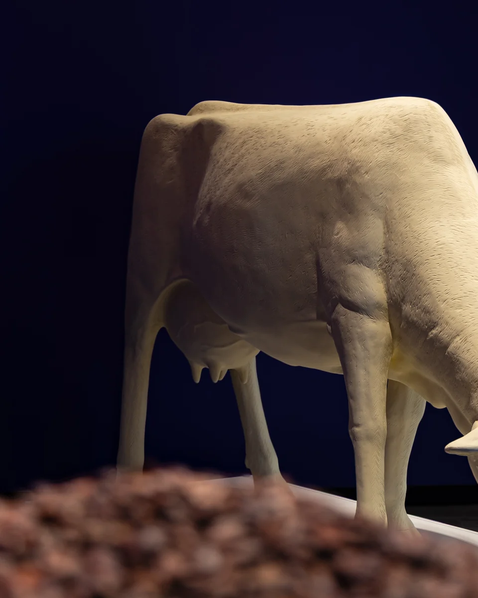 Curious Currencies exhibit at MoFun